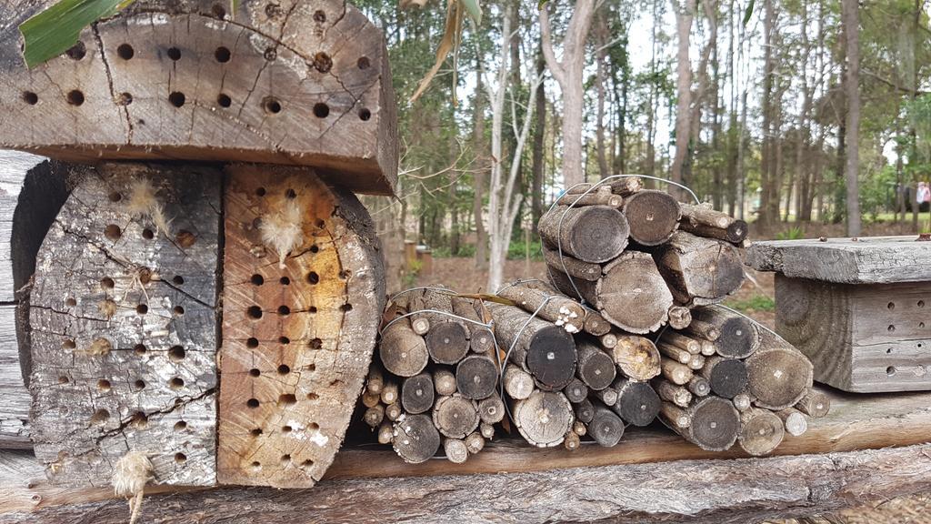Honeybee Wellness Resort Kandanga 외부 사진