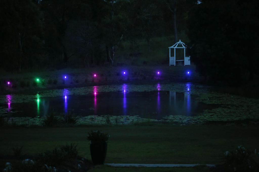Honeybee Wellness Resort Kandanga 외부 사진