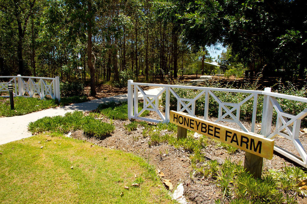 Honeybee Wellness Resort Kandanga 외부 사진